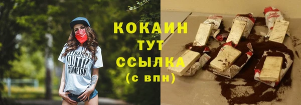 индика Баксан