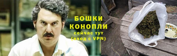 индика Баксан
