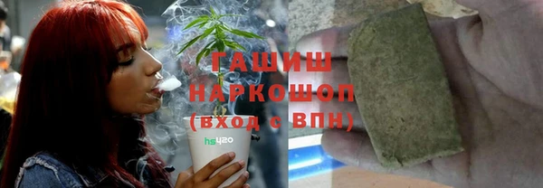 индика Баксан
