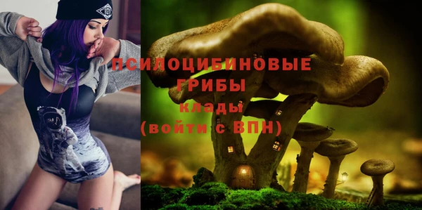 ГАЛЛЮЦИНОГЕННЫЕ ГРИБЫ Балахна