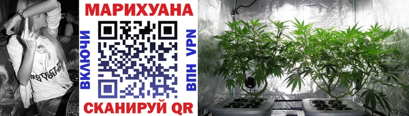 Бошки марихуана VHQ  Ленск 